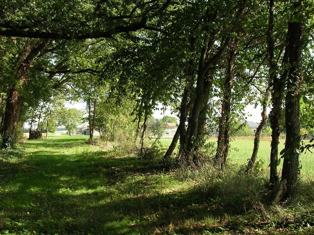 Chateau De La Noblaye Lemere Bagian luar foto