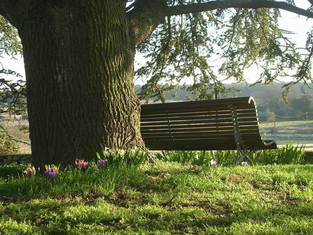 Chateau De La Noblaye Lemere Bagian luar foto
