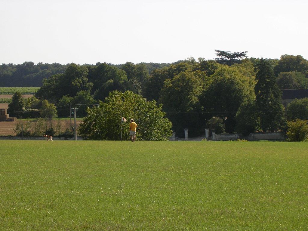Chateau De La Noblaye Lemere Bagian luar foto