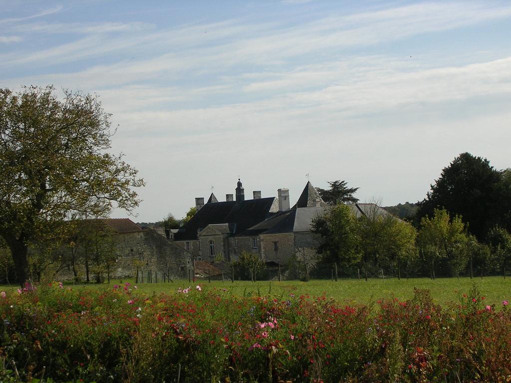 Chateau De La Noblaye Lemere Bagian luar foto