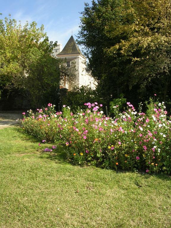 Chateau De La Noblaye Lemere Bagian luar foto