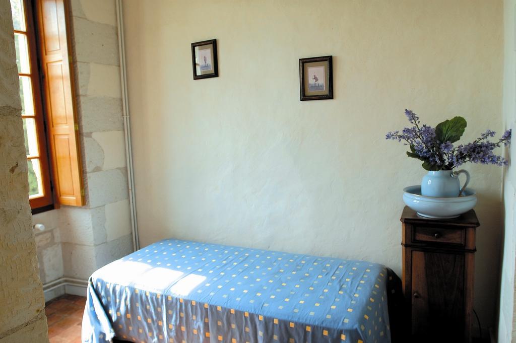 Chateau De La Noblaye Lemere Bagian luar foto